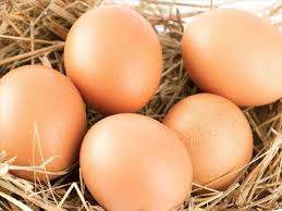 ΧΟΝΔΡΙΚΟ ΕΜΠΟΡΙΟ ΑΥΓΩΝ ΠΤΗΝΟΤΡΟΦΙΚΑ ΠΡΟΪΟΝΤΑ ΒΟΛΟΣ ΜΑΓΝΗΣΙΑ ΠΑΠΑΚΩΣΤΑ ΒΑΣΙΛΙΚΗ