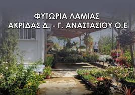ΦΥΤΩΡΙΑ ΛΑΜΙΑΣ ΑΝΘΟΚΟΜΙΚΑ ΛΑΜΙΑ ΦΘΙΩΤΙΔΑ ΑΚΡΙΔΑΣ Δ.-ΑΝΑΣΤΑΣΙΟΥ Γ. ΟΕ