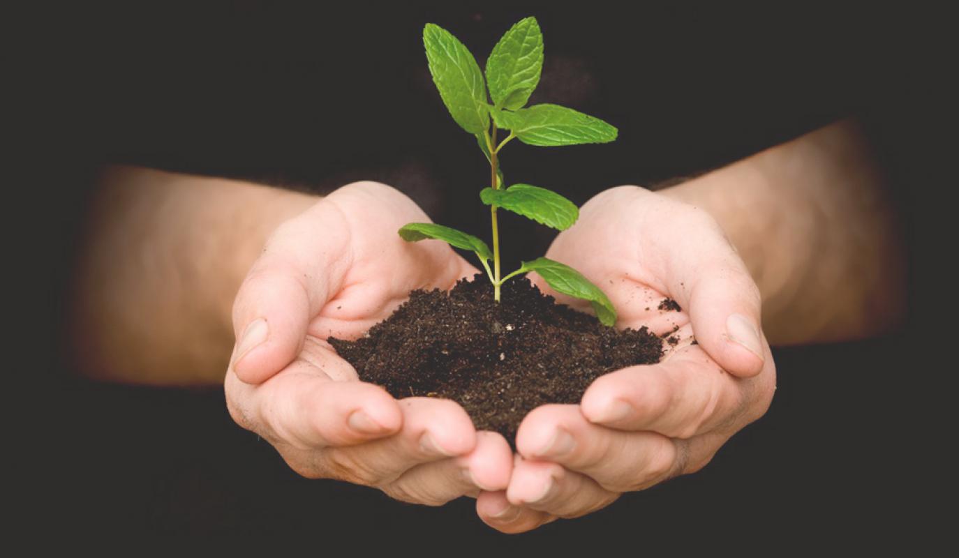 ΦΥΤΩΡΙΟ ΑΝΘΗ ΦΥΤΑ ΓΕΩΡΓΙΚΑ ΕΦΟΔΙΑ ΑΓΙΟΣ ΔΗΜΗΤΡΙΟΣ ΑΡΤΑ ΚΑΓΚΙΟΥΖΗΣ ΔΗΜΗΤΡΙΟΣ