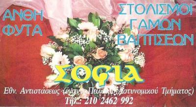 ΑΝΘΟΠΩΛΕΙΟ ΑΝΘΗ ΦΥΤΑ ΛΟΥΛΟΥΔΙΑ ΜΕΝΙΔΙ ΑΤΤΙΚΗ ΒΡΑΜΠΑΚΗ ΣΟΦΙΑ