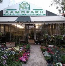 ΦΥΤΩΡΙΟ ΚΑΤΑΣΚΕΥΗ ΣΥΝΤΗΡΗΣΗ ΚΗΠΩΝ ΚΕΝΤΡΟ ΚΗΠΟΥ ΛΑΜΠΡΑΚΗ ΙΕΡΑΠΕΤΡΑ ΛΑΣΙΘΙ