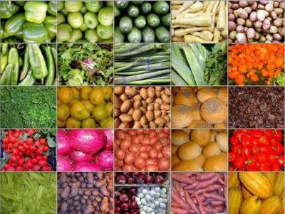 ΑΓΡΟΤΙΚΑ ΓΕΩΡΓΙΚΑ ΠΡΟΪΟΝΤΑ ΑΡΓΟΣ ΟΡΕΣΤΙΚΟ ΚΑΣΤΟΡΙΑ ΜΠΑΤΖΙΟΣ ΔΗΜΗΤΡΙΟΣ