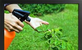 ΓΕΩΡΓΙΚΑ ΕΦΟΔΙΑ ΦΑΡΜΑΚΑ ΚΑΛΑΜΠΑΚΑ ΤΡΙΚΑΛΑ ΠΛΗΣΙΩΤΗΣ ΣΩΤΗΡΙΟΣ