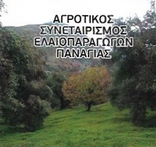 ΠΑΡΑΓΩΓΗ ΕΜΠΟΡΙΟ ΕΛΑΙΟΛΑΔΟΥ ΑΓΡΟΤΙΚΟΣ ΣΥΝΕΤΑΙΡΙΣΜΟΣ ΠΑΝΑΓΙΑΣ ΠΕΔΙΑΔΟΣ ΗΡΑΚΛΕΙΟΥ ΗΡΑΚΛΕΙΟ ΚΡΗΤΗ