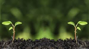 ΦΥΤΩΡΙΟ ΘΕΡΜΟΚΗΠΙΟ ΝΕΑΠΟΛΗ ΡΟΥΣΣΑΙΪΚΑ ΑΓΡΙΝΙΟ ΠΙΣΤΙΟΛΗΣ ΛΑΖΑΡΟΣ