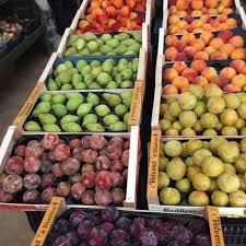 ΟΠΩΡΟΠΩΛΕΙΟ ΤΟ ΠΕΡΙΒΟΛΙ ΠΕΥΚΟΧΩΡΙ ΧΑΛΚΙΔΙΚΗ ΚΑΡΑΜΑΝΛΗΣ ΔΗΜΗΤΡΙΟΣ