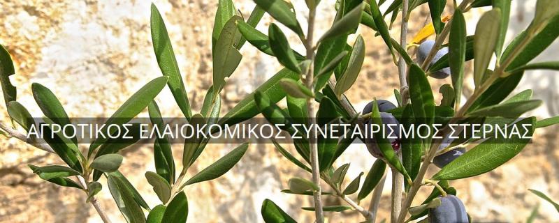 ΑΓΡΟΤΙΚΟΣ ΕΛΑΙΟΥΡΓΙΚΟΣ ΣΥΝΕΤΑΙΡΙΣΜΟΣ ΣΤΕΡΝΑΣ ΜΕΣΣΗΝΙΑ
