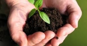 ΓΕΩΠΟΝΟΣ ΓΕΩΡΓΙΚΑ ΕΦΟΔΙΑ ΑΜΠΕΛΩΝΑΣ ΛΑΡΙΣΑ ΚΟΝΤΣΙΩΤΗΣ ΑΘΑΝΑΣΙΟΣ