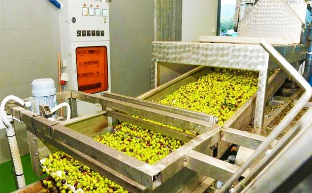 ΕΛΑΙΟΤΡΙΒΕΙΟ ΚΟΥΤΣΟΜΟΔΙ ΝΕΜΕΑ ΚΟΡΙΝΘΙΑ ΜΑΝΤΖΙΩΡΟΣ ΠΑΝΑΓΙΩΤΗΣ